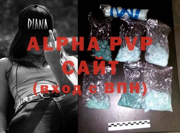 твердый Инта