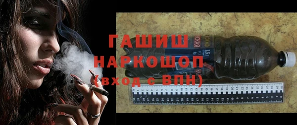 шишки Каменка