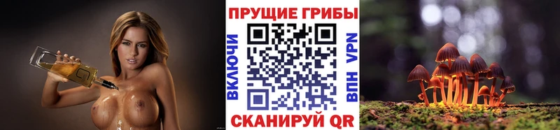 Купить  Темрюк  Галлюциногенные грибы Cubensis 